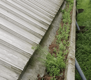 Happy customers in Cranfield who trust The Roof Moss Cleaners for gutter cleaning services