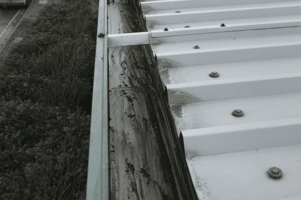 Commercial gutter cleaning specialists in Cranfield